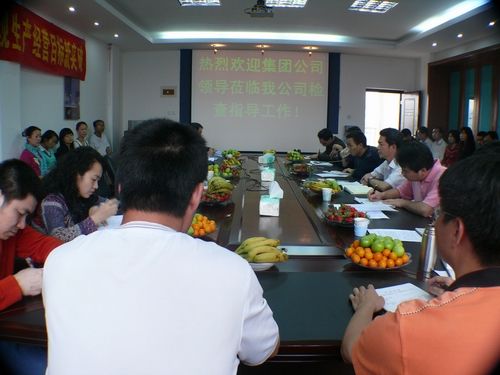 集团公司检查审核组莅临长长公司检查指导事情 - 企业要闻 - 拉斯维加斯3133cc