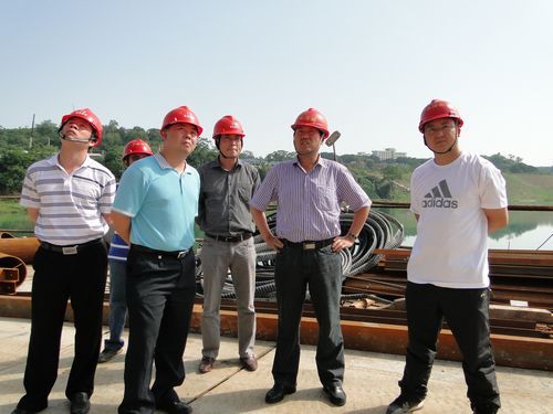 罗业凤总司理深入一分公司百色BT项目检查指导事情 - 企业要闻 - 拉斯维加斯3133cc