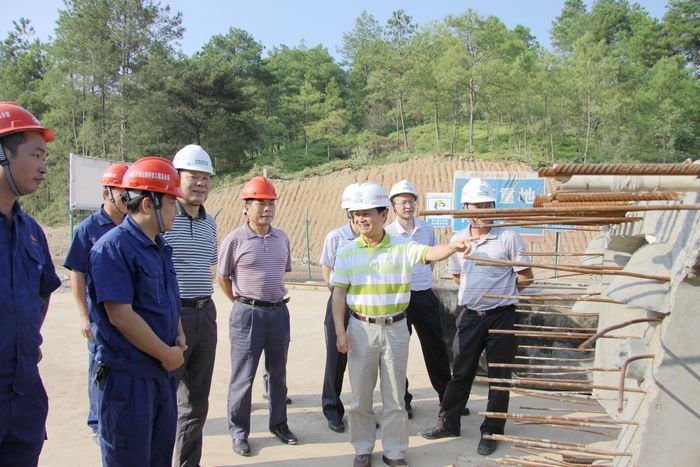 自治区交通运输厅总工程师王劼耘一行莅临靖那1标视察指导事情 - 企业要闻 - 拉斯维加斯3133cc