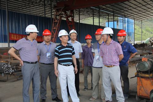 自治区人大民族委员会副主任黄华宽莅临靖那1标相识项目建设情形 - 企业要闻 - 拉斯维加斯3133cc