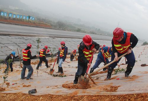 灌凤1标组织开展植树环保唬；疃 - 企业要闻 - 拉斯维加斯3133cc