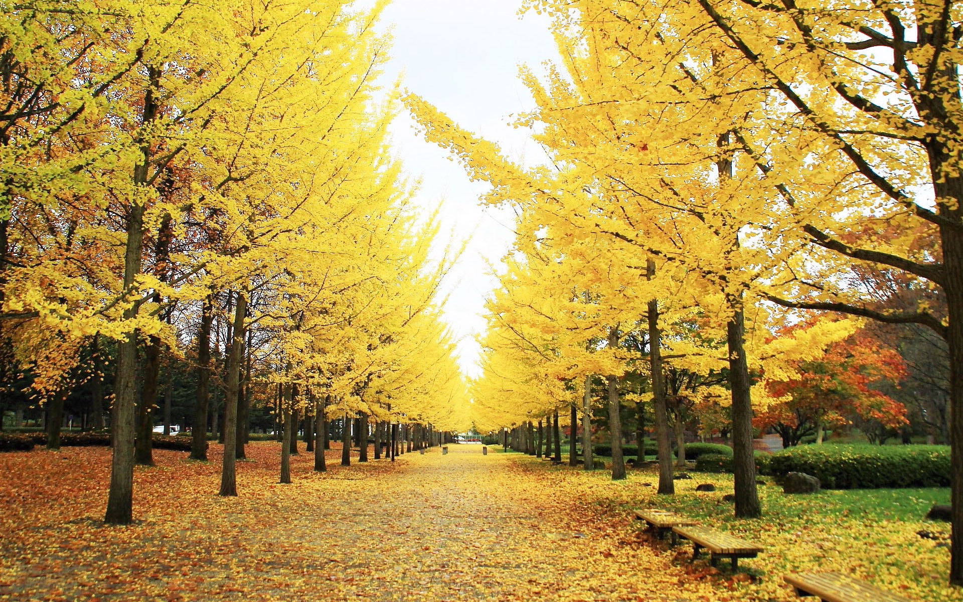 拉斯维加斯3133cc(中国集团)有限公司官网