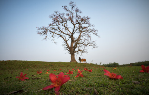拉斯维加斯3133cc(中国集团)有限公司官网
