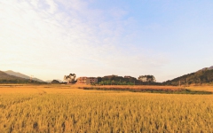 文学苑 - 拉斯维加斯3133cc