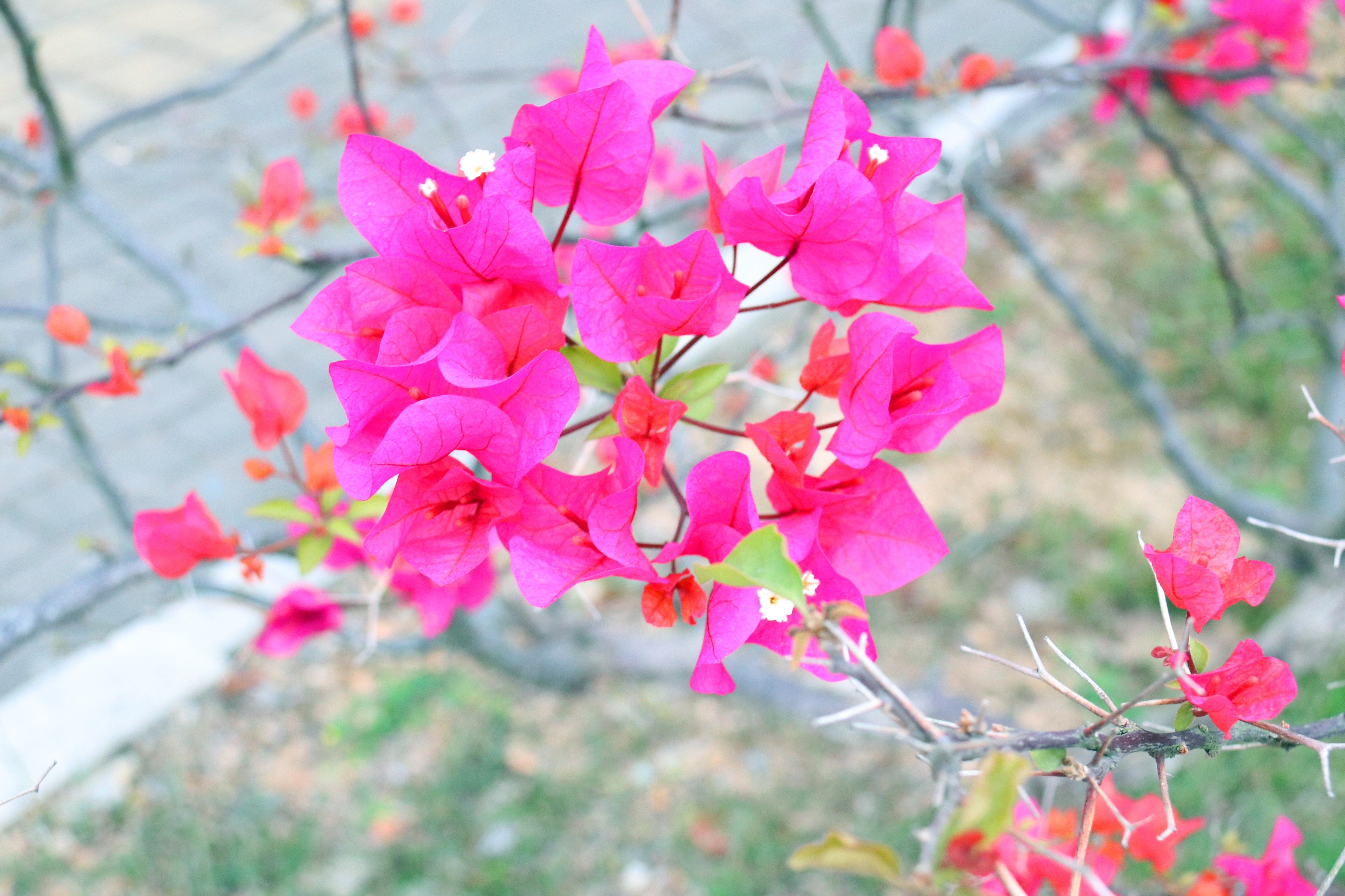 拉斯维加斯3133cc(中国集团)有限公司官网