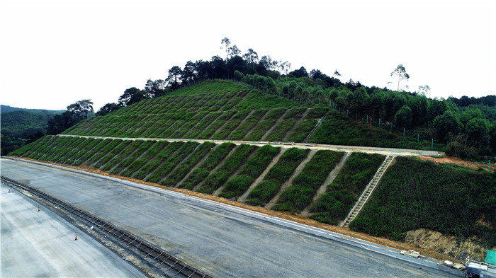 拉斯维加斯3133cc(中国集团)有限公司官网