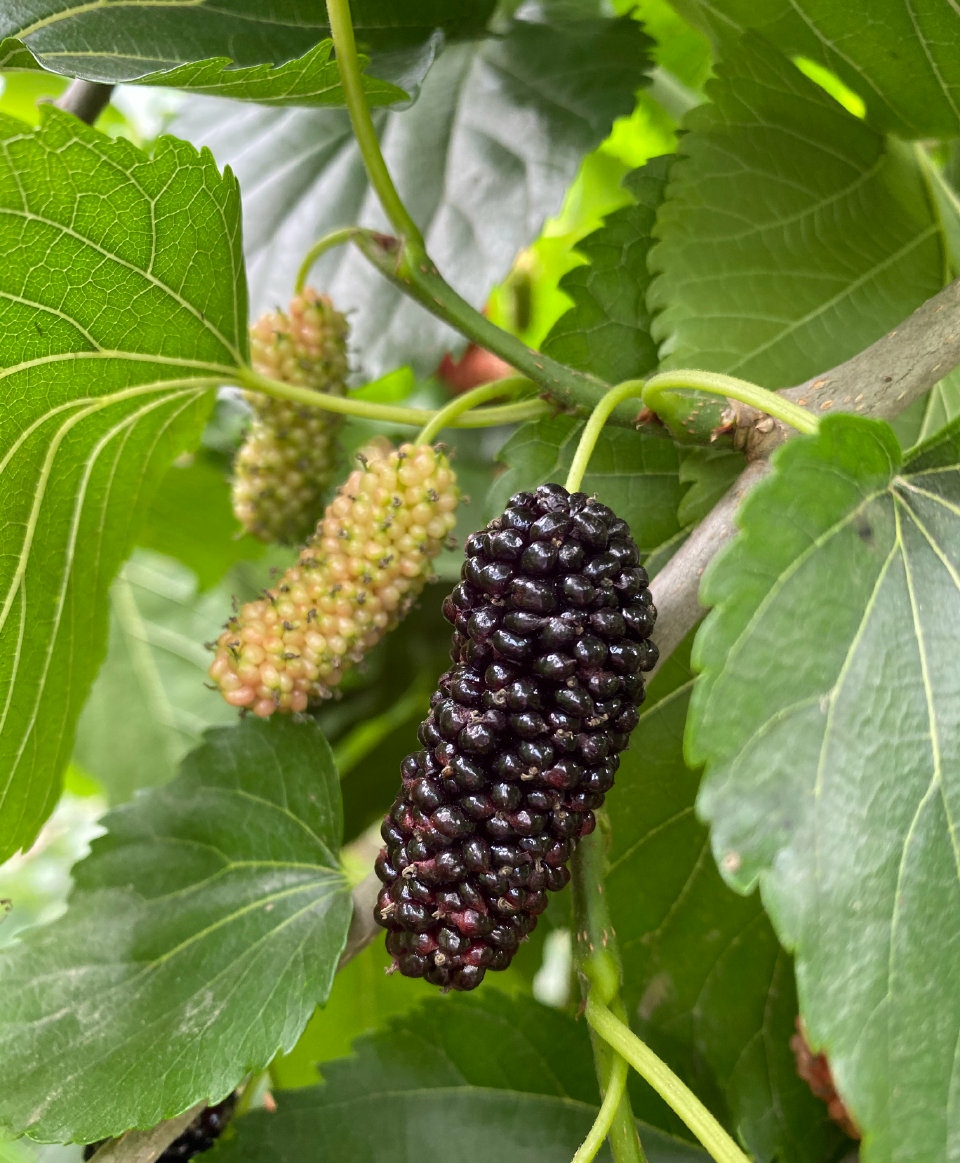 拉斯维加斯3133cc(中国集团)有限公司官网