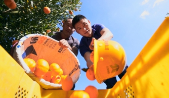 广西拉斯维加斯3133cc“百年风华 交透风范”天下交通运输摄影大赛参赛作品——滇桂一家亲