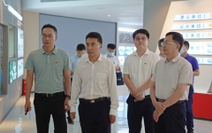 企业要闻 - 拉斯维加斯3133cc