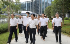 企业要闻 - 拉斯维加斯3133cc