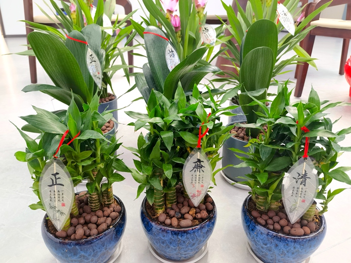 拉斯维加斯3133cc(中国集团)有限公司官网