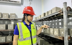 文学苑 - 拉斯维加斯3133cc