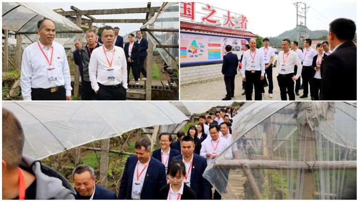 拉斯维加斯3133cc(中国集团)有限公司官网