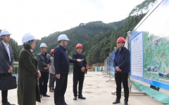 工程动态 - 拉斯维加斯3133cc