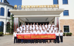 党建事情 - 拉斯维加斯3133cc