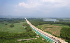 工程动态 - 拉斯维加斯3133cc