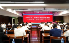 分（子）公司动态 - 拉斯维加斯3133cc