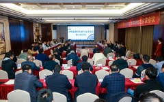 企业要闻 - 拉斯维加斯3133cc