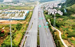 分（子）公司动态 - 拉斯维加斯3133cc