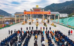 工程动态 - 拉斯维加斯3133cc