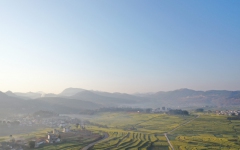 工程动态 - 拉斯维加斯3133cc