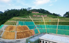 工程动态 - 拉斯维加斯3133cc