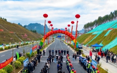 企业要闻 - 拉斯维加斯3133cc