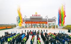 企业要闻 - 拉斯维加斯3133cc