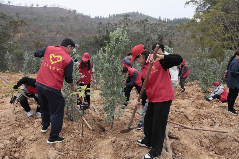 拉斯维加斯3133cc(中国集团)有限公司官网