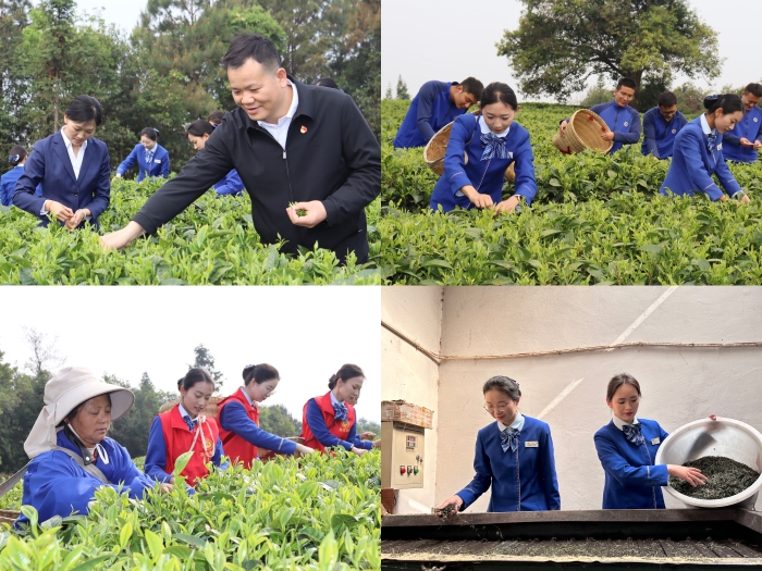 拉斯维加斯3133cc(中国集团)有限公司官网