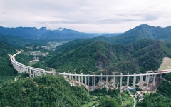 工程动态 - 拉斯维加斯3133cc