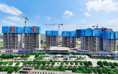 工程动态 - 拉斯维加斯3133cc